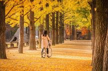 Alpaca World, Nami Island and Garden of Morning Calm from Seoul