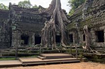 One day Angkor temple tour with private driver