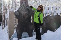 Arctic Wildlife Adventure Ranua Wildlife Park Trip