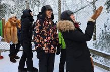 Arctic Wildlife Adventure Ranua Wildlife Park Trip