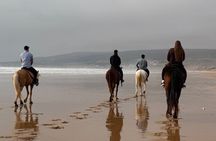 Taghazout Sunset Horse Ride