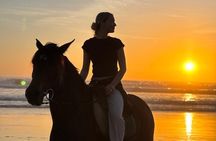 Taghazout Sunset Horse Ride