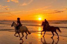 Taghazout Sunset Horse Ride