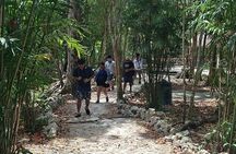 Atv's mikeexcursioncozumel ,cavern Jade,Village Maya and lunch