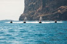 Jet Ski Safari on the Cliffs of Los Gigantes