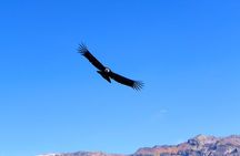 Andes Day Trip from Mendoza Including Aconcagua, Uspallata and Puente del Inca
