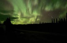 Fairbanks Alaska Luxury Car Private Tour