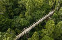 Urban Jungles - Hidden Nature Walks in Auckland