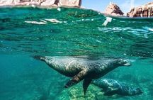 Isla Espiritu Santo + Balandra by Private Boat | Up to 10 people