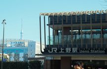 Tokyo: Ueno Park, Toshogu Shrine & Ameyoko Food Walk
