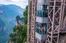 1-Day Best Mini Group & Private Tours to Mt. Avatar & Forest Park