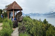 Son Tra Monkey Tour: Spot Red-Shanked Douc & Sightseeings Private