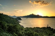 Son Tra Monkey Tour: Spot Red-Shanked Douc & Sightseeings Private