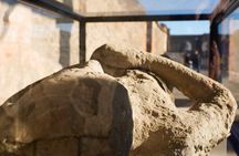 From Sorrento: Pompeii Skip-the-Line tkt, Train Tkt & Guided Tour