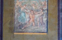 From Sorrento: Pompeii Skip-the-Line tkt, Train Tkt & Guided Tour