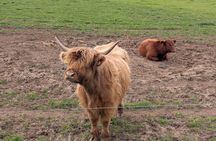 Private Loch Lomond Highlands Tour