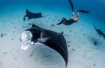 Nusa Penida One Day Tour with All Inclusive Tour