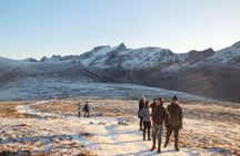 Sightseeing and hike with Tromso Outdoor