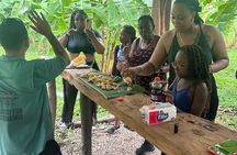 Guanacaste Tropical Farm Tour with Handcrafted Chip Tasting