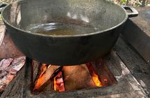 Guanacaste Tropical Farm Tour with Handcrafted Chip Tasting