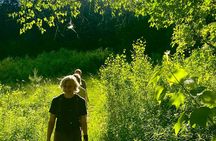 Private Guided Berkshire Mountains Hike with Scenic Views