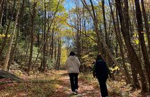 Private Guided Berkshire Mountains Hike with Scenic Views
