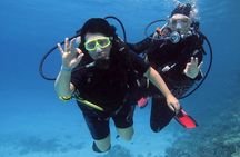Intro Dive in Hurghada