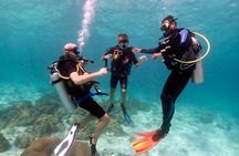 Intro Dive in Hurghada