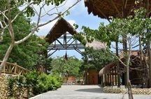Barú National Aviary and Playa Blanca Tour with Lunch