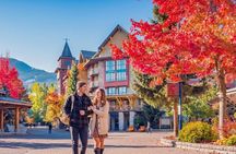 Whistler Sea 2 Sky Gondola, Shannon Falls Premium Day Tour
