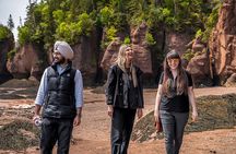 Hopewell Rocks Express Tour from Moncton