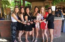 Temecula Wine Tour with tastings included