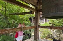 1-Day Kochi Highlights Tour with local guide