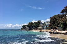 Urban Jungles - Hidden Nature Walks in Auckland