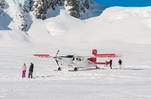 45-Minute Glacier Highlights Ski Plane Tour from Mount Cook