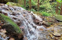 Day Trip From Chiang Mai: Mae Kampong Village Experience
