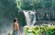 Ubud Private Tour with Monkey Forest, Swing and Waterfall