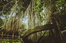 Ubud Private Tour with Monkey Forest, Swing and Waterfall