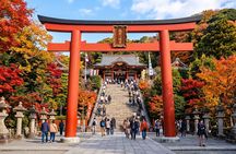 Kamakura Private Walking Tour with Great Buddha & Heritage