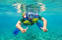 Blue Lagoon Snorkeling and Tirta Gangga Water Palace Experience