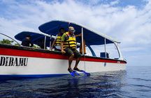 Blue Lagoon Snorkeling and Tirta Gangga Water Palace Experience
