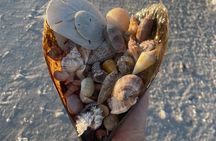 Guided Shelling Adventure in the Ten Thousand Islands