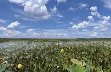 1-Hour Private Airboat Tour in Kissimmee