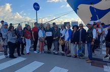 From Messina shared tour Taormina and Castelmola with 9-seater van
