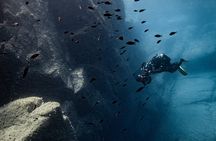 Scuba diving in Sardinia: La Maddalena Archipelago and Lavezzi