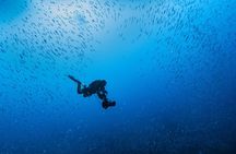 Scuba diving in Sardinia: La Maddalena Archipelago and Lavezzi