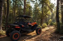 Rabat: Private Buggy – Forest, Dunes and Beach, 2 hours