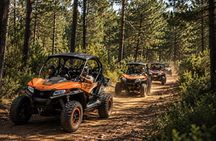 Rabat: Private Buggy – Forest, Dunes and Beach, 2 hours