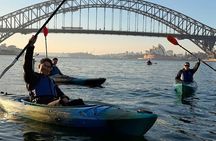 Sydney Harbour Discovery Paddle