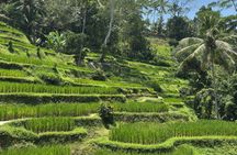 Bali Full Day Customized Private Tours
